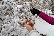 In CORNAGERA e MONTE POIETO da Aviatico il 4 febbraio 2018 -  FOTOGALLERY